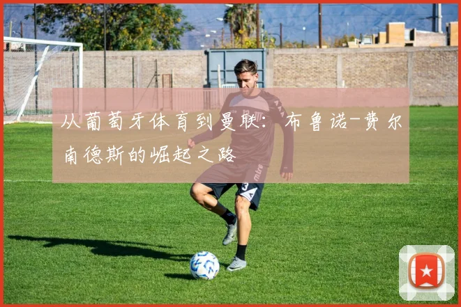 从葡萄牙体育到曼联：布鲁诺-费尔南德斯的崛起之路