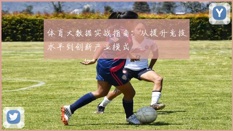 体育大数据实战指南：从提升竞技水平到创新产业模式