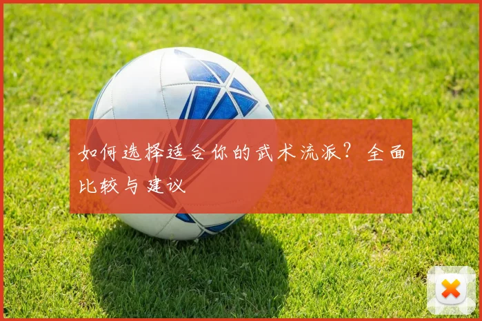 如何选择适合你的武术流派?全面比较与建议